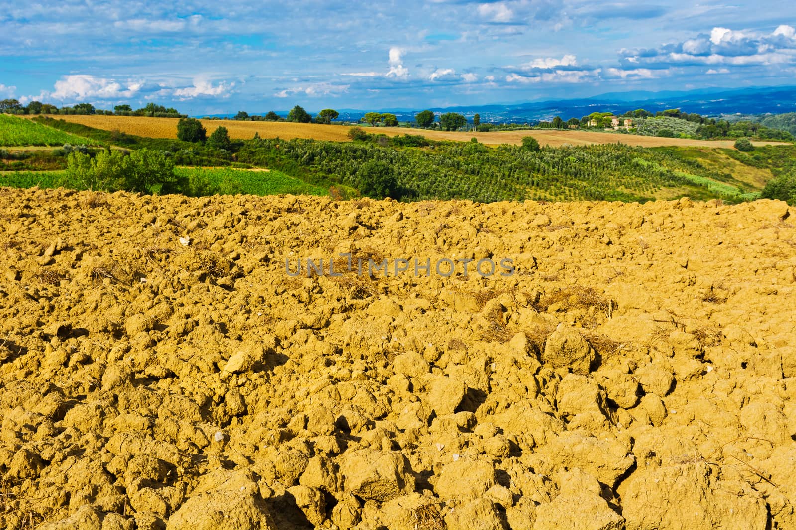 Plowed Fields by gkuna