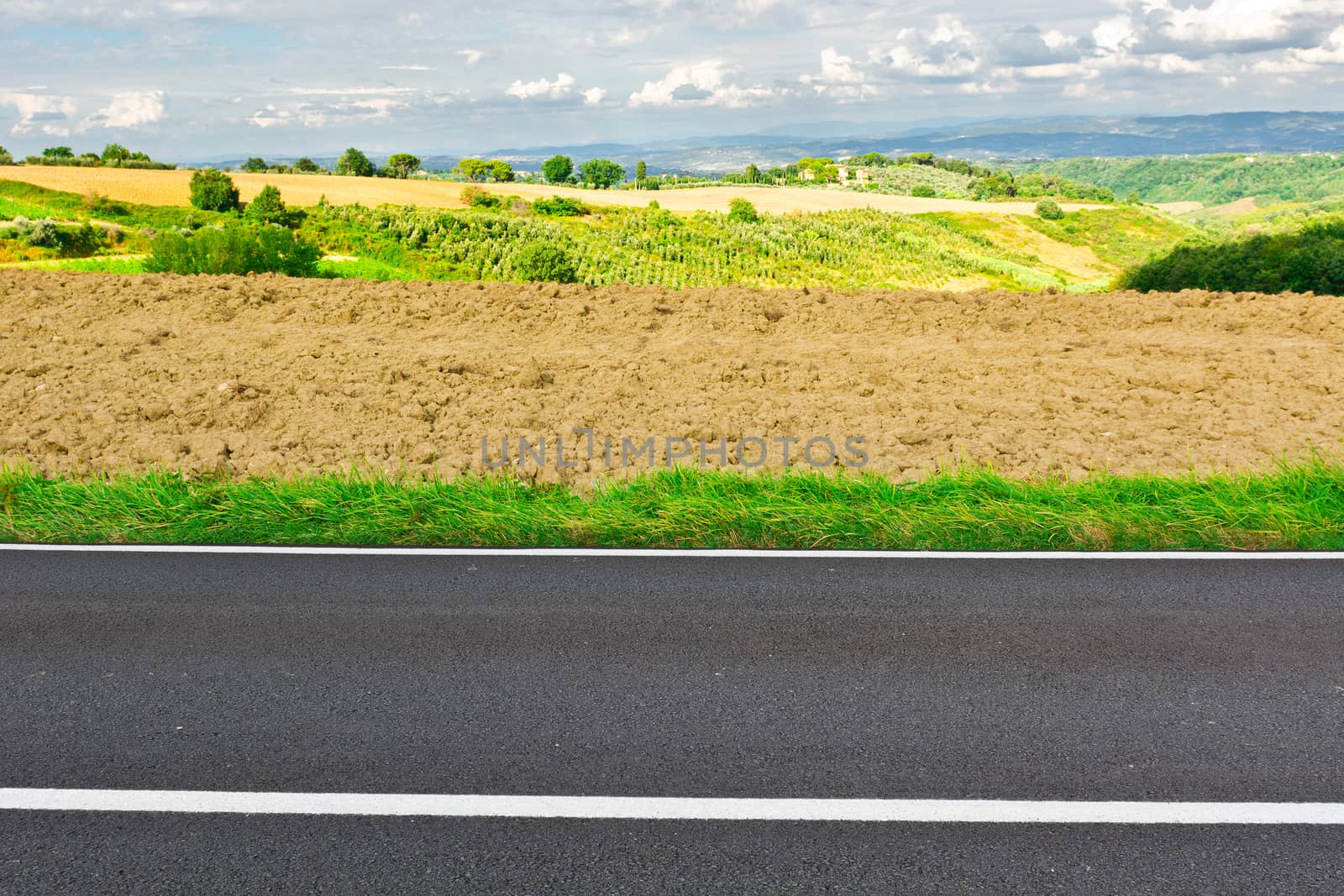 Asphalt Road between Autumn Plowed Fields in the Tuscany