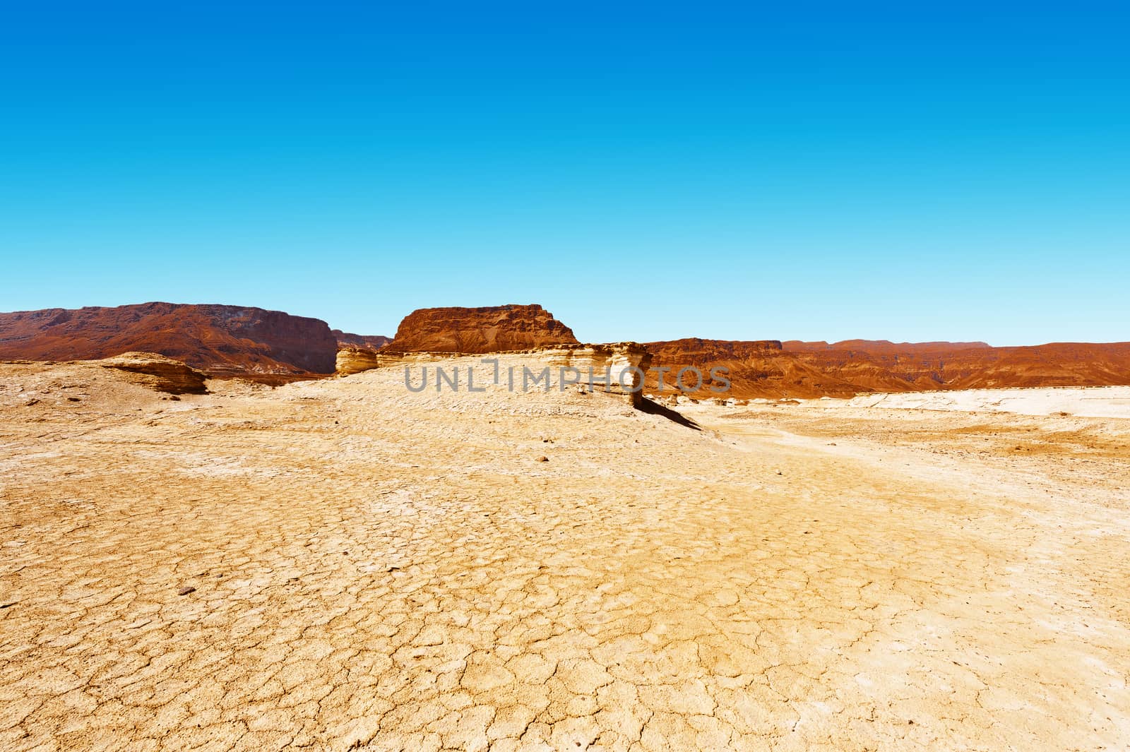 Desert by gkuna