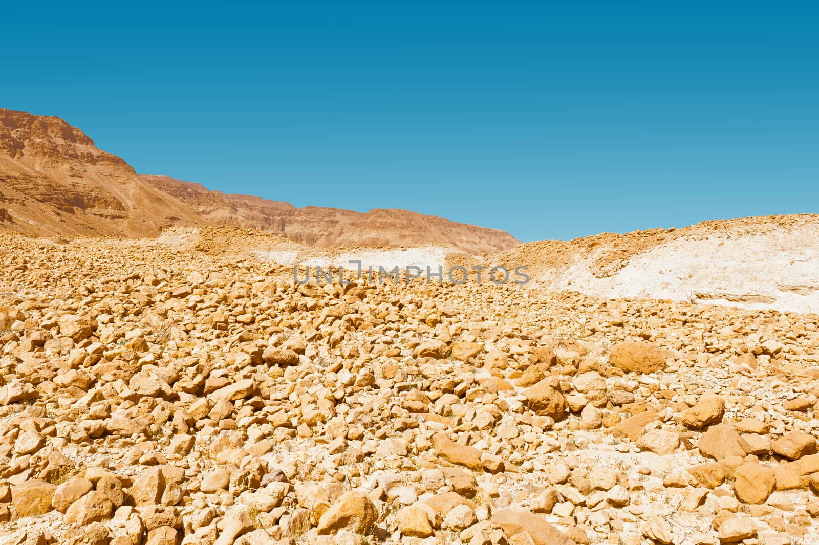 Scattering of Stones of the Negev Desert in Israel