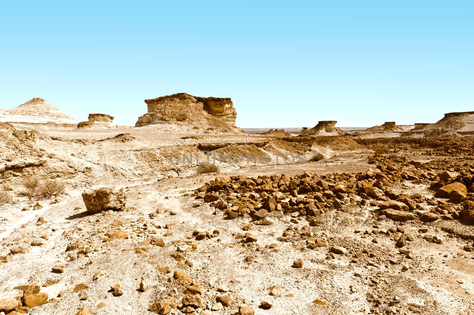 Stony Canyon of the Negev Desert in Israel