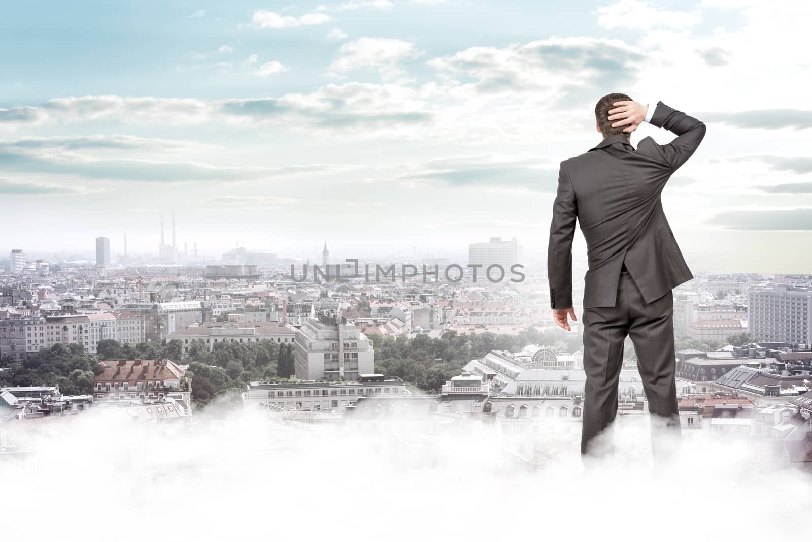 Businessman standing on clouds looking at city, rear view