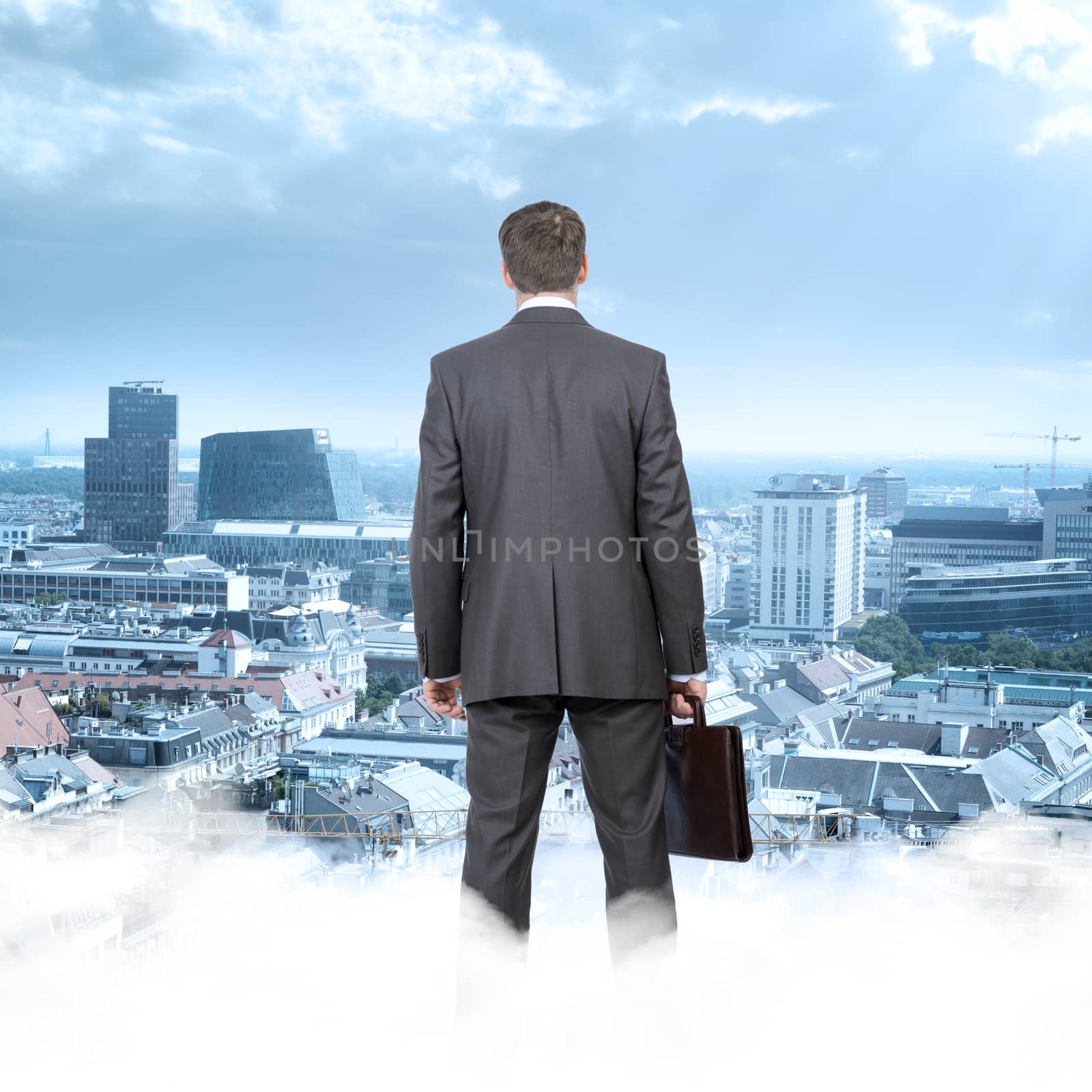 Businessman standing on clouds looking at city, rear view