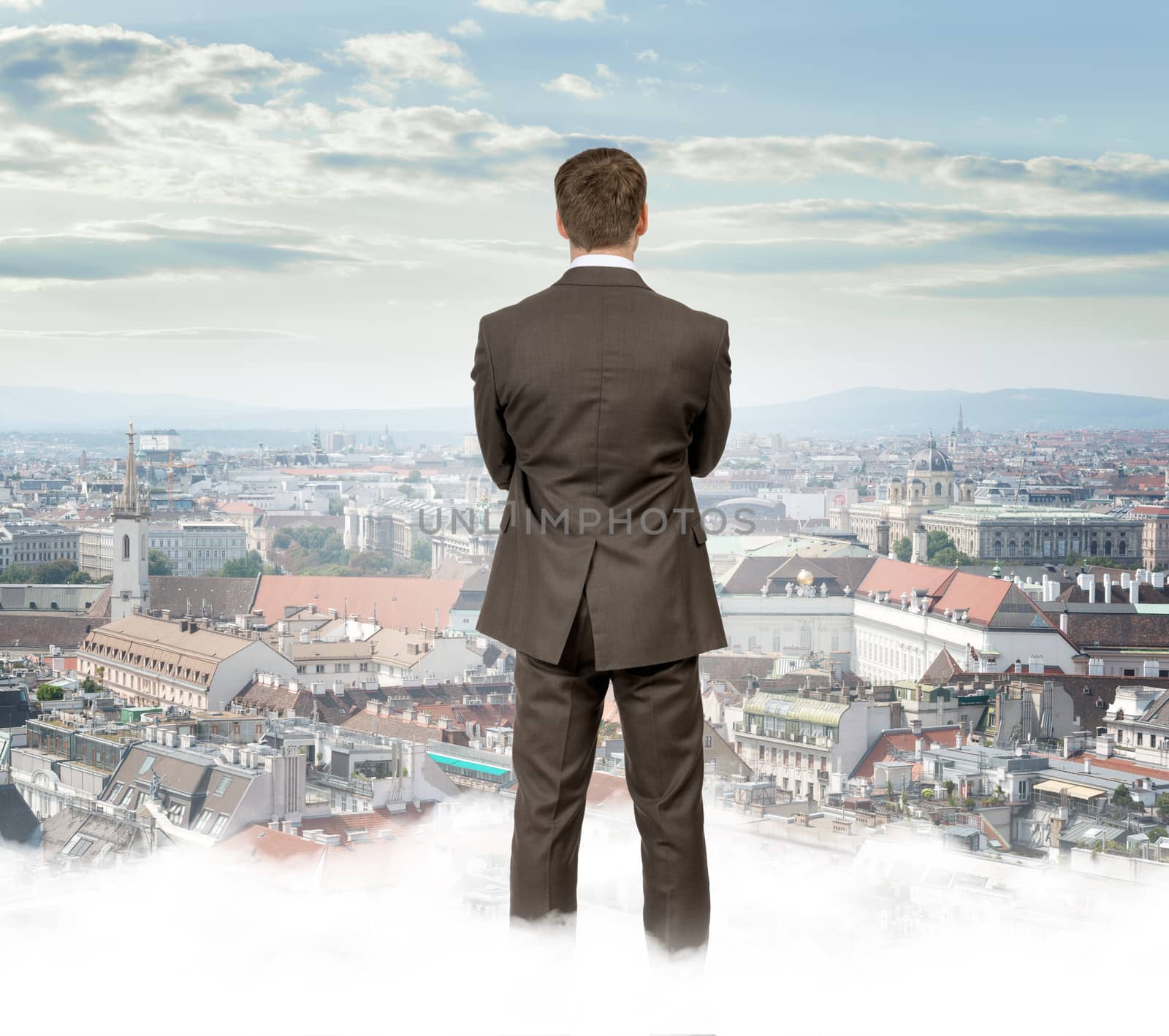 Businessman standing on clouds looking at city, rear view