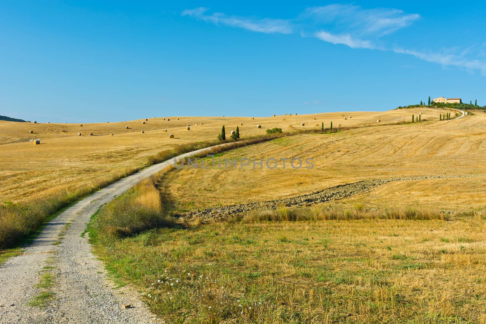 Dirt Road Leading to the Farmhouse across the Fields with Many Hay Bales in Tuscany, Italy  
