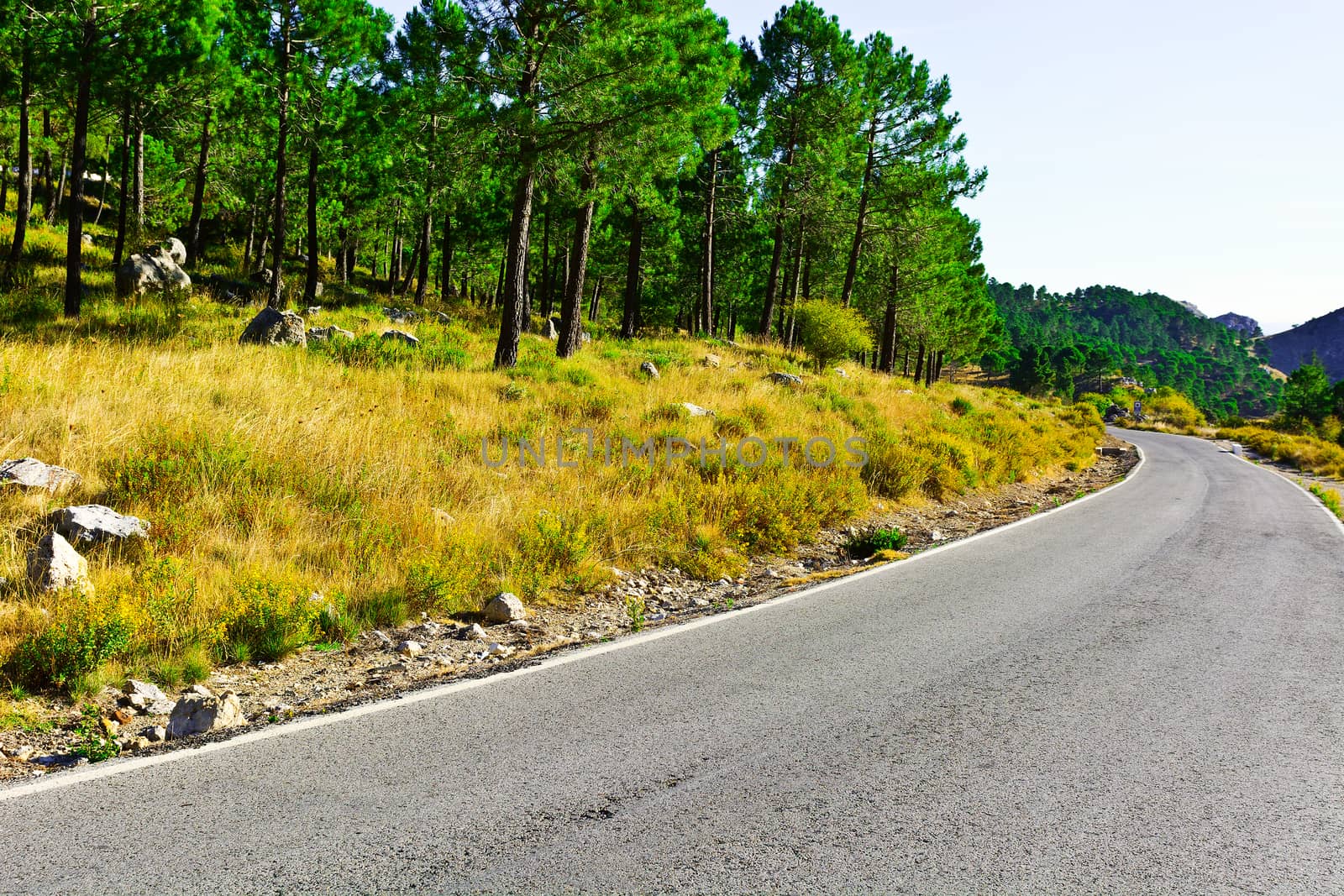 Winding Asphalt Road in the  Mountains, Spain