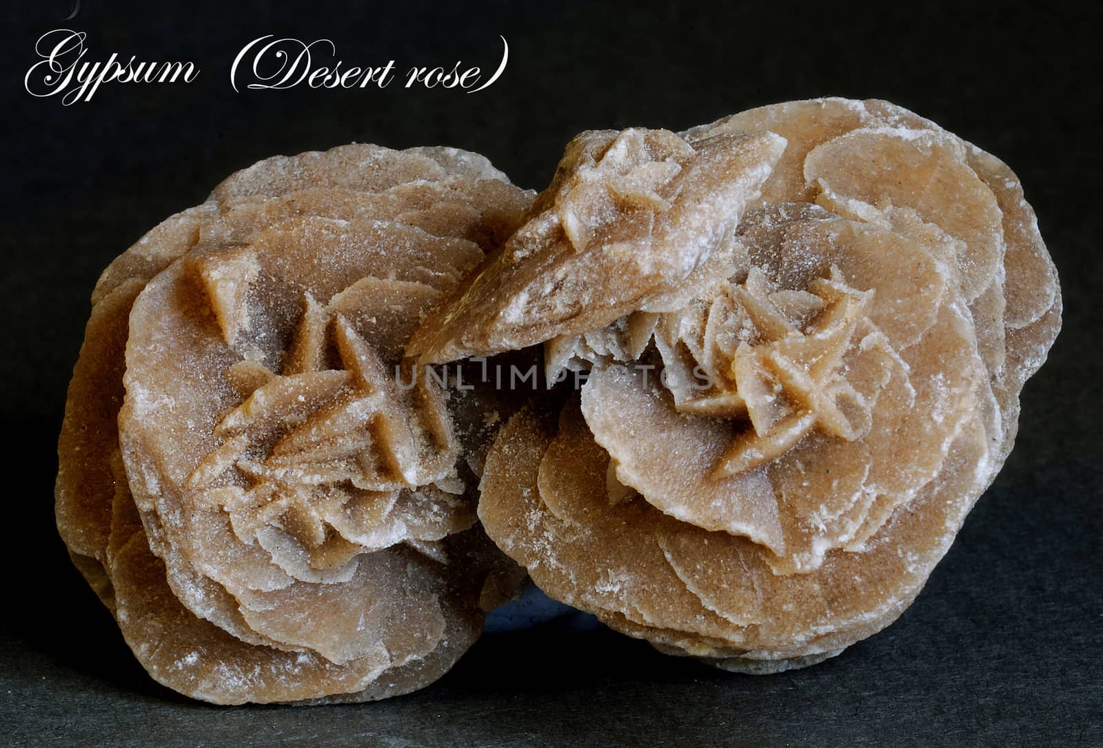 CRYSTALS AND MINERAL SAMPLES PHOTOGRAPHED IN MACRO