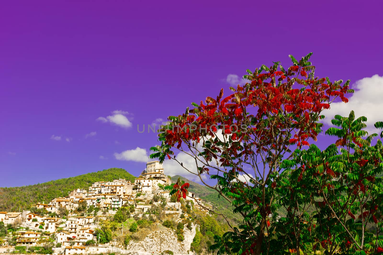 Red Leaves on the Background of Medieval Italian City on a Hilltop 