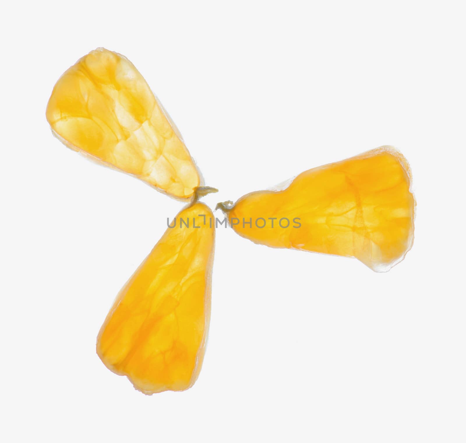 Mandarines triangle slices on white background