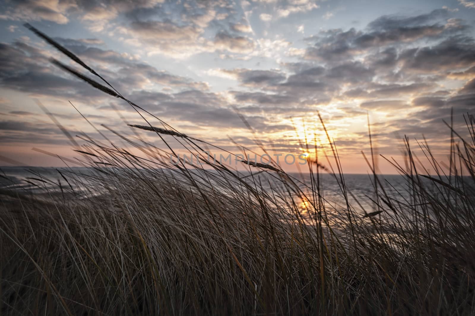 Landscape at the beach