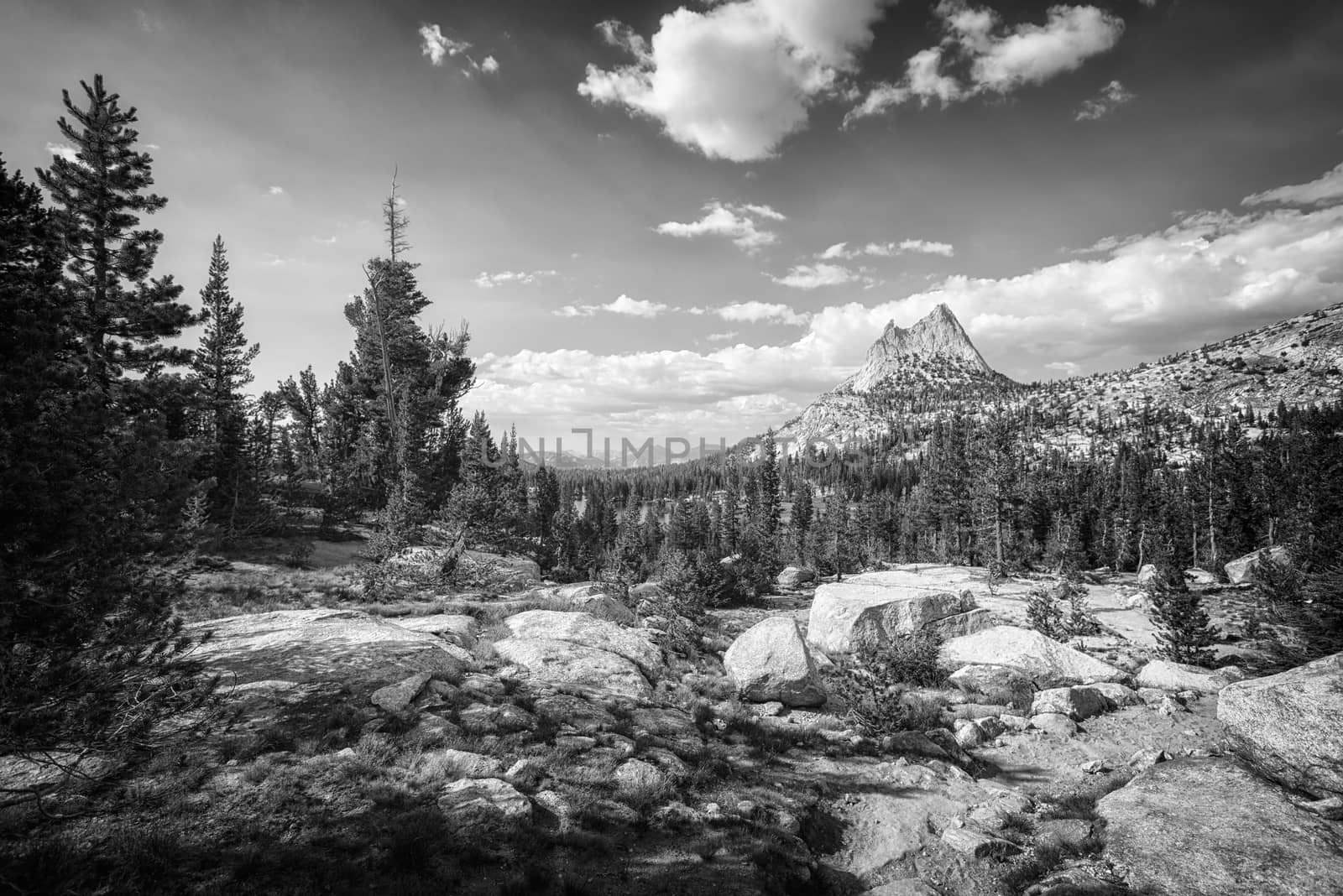 Mountain landscape in the Sierra Nevada mountains, California