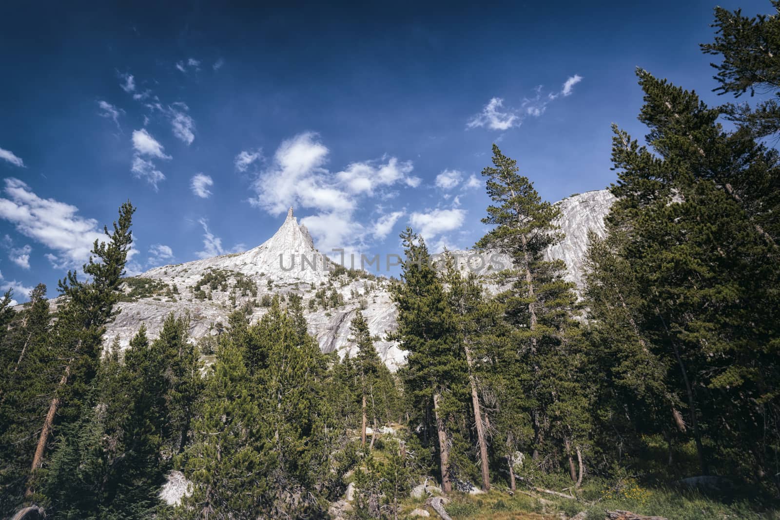 Mountain landscape in the Sierra Nevada mountains, California