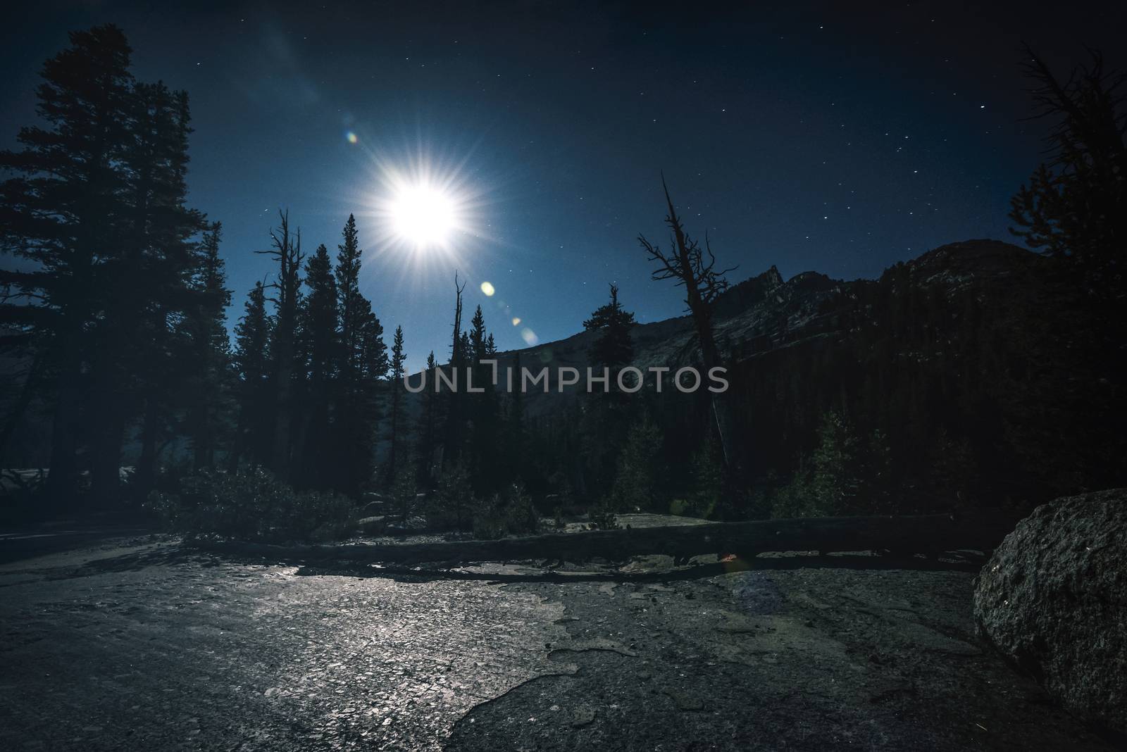 Mountain landscape in the Sierra Nevada mountains, California