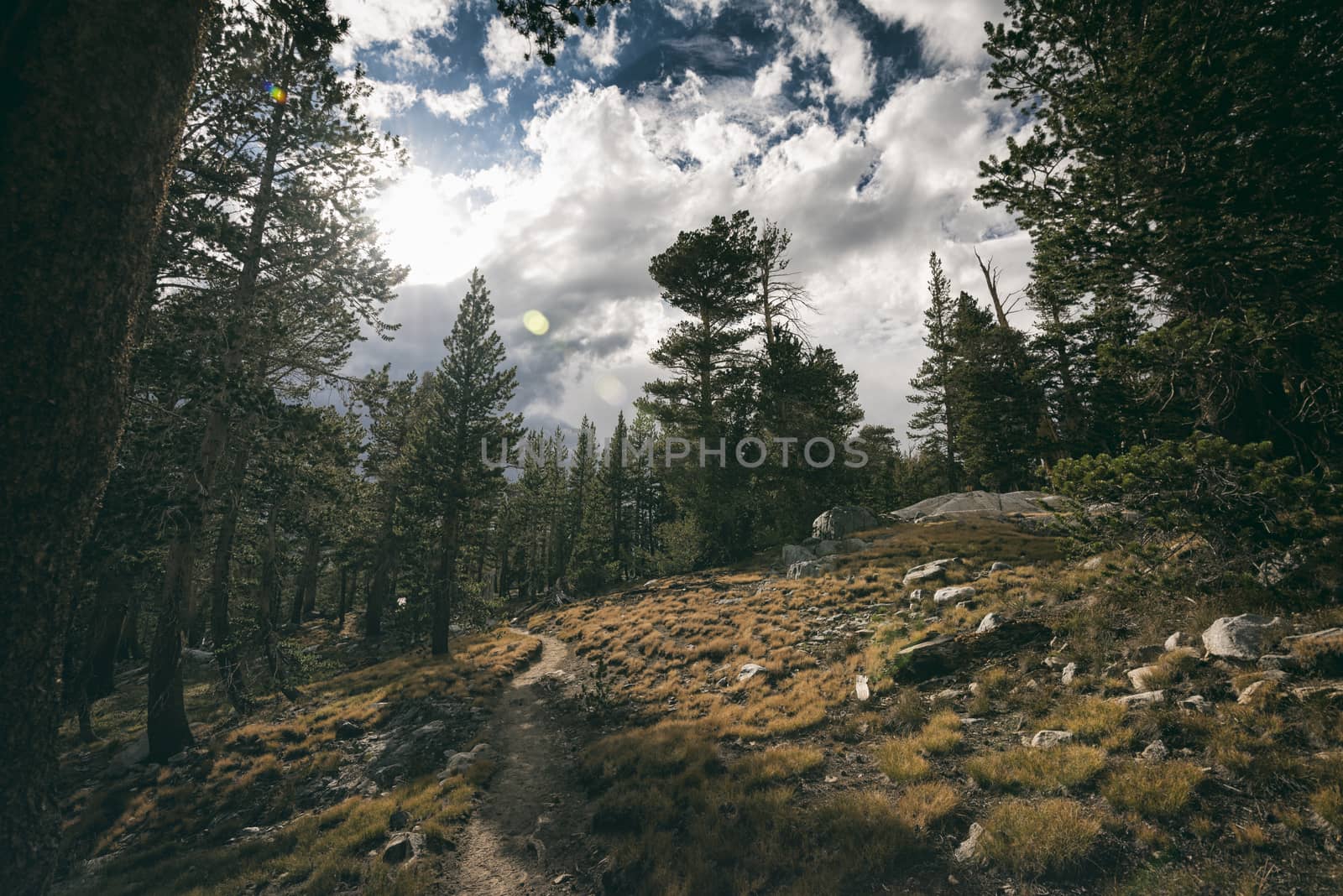 Landscape in the Sierra Nevada Mountains by patricklienin