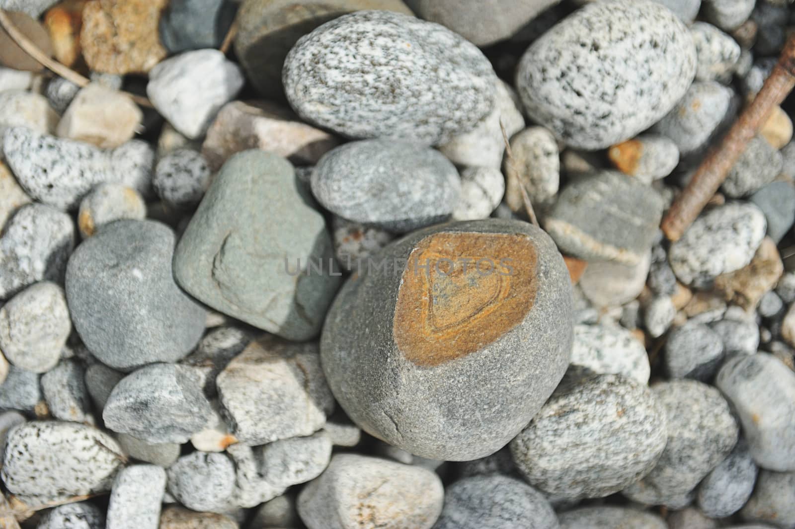 brown color heart shape in   astone slice