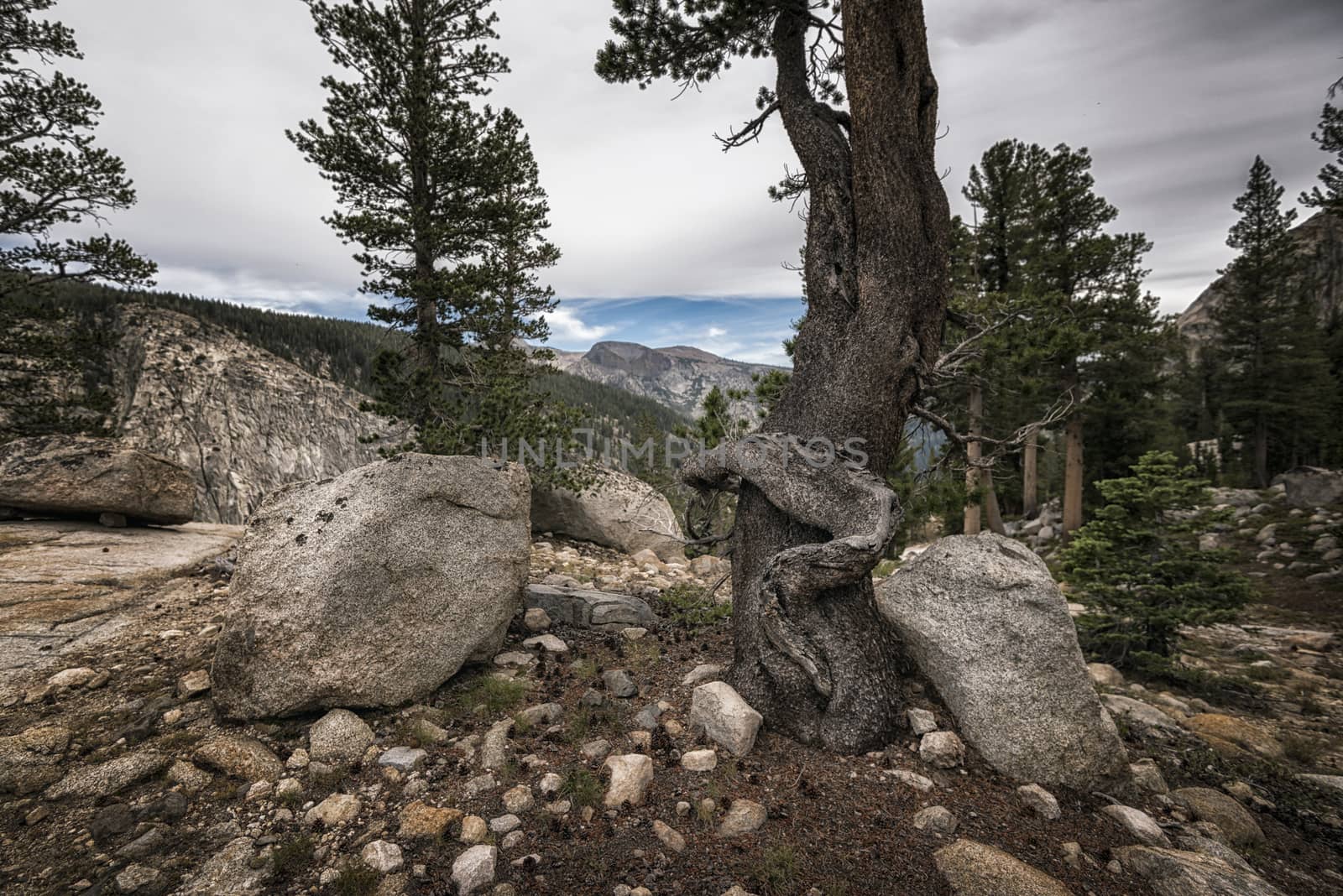 Mountain landscape in the Sierra Nevada mountains, California