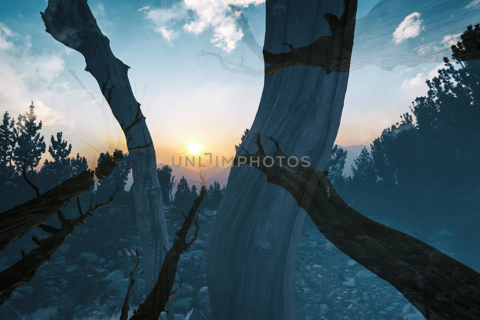 Mountain landscape in the Sierra Nevada mountains, California