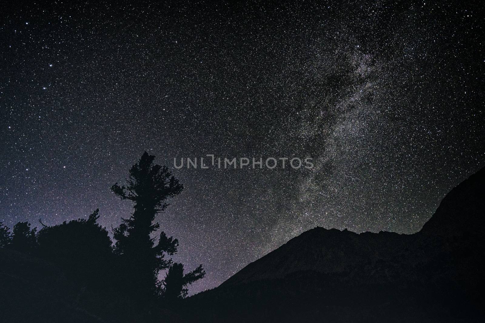 Nightsky in the Sierra Nevada Mountains by patricklienin