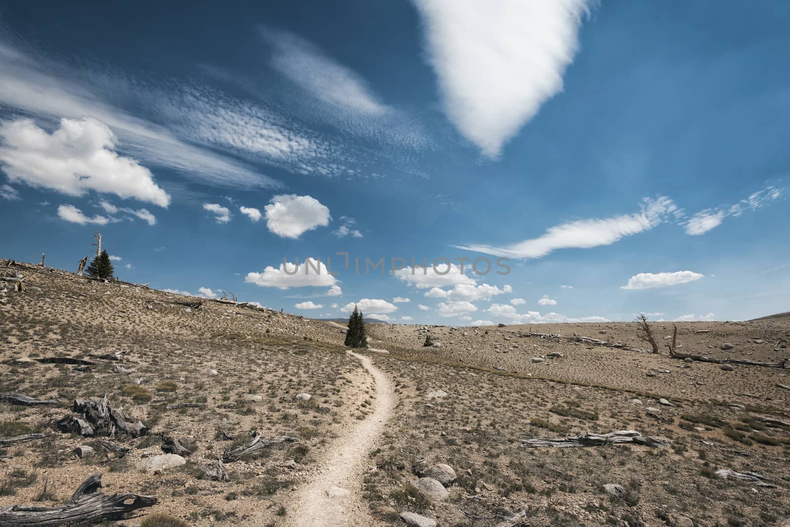 Mountain landscape in the Sierra Nevada mountains, California