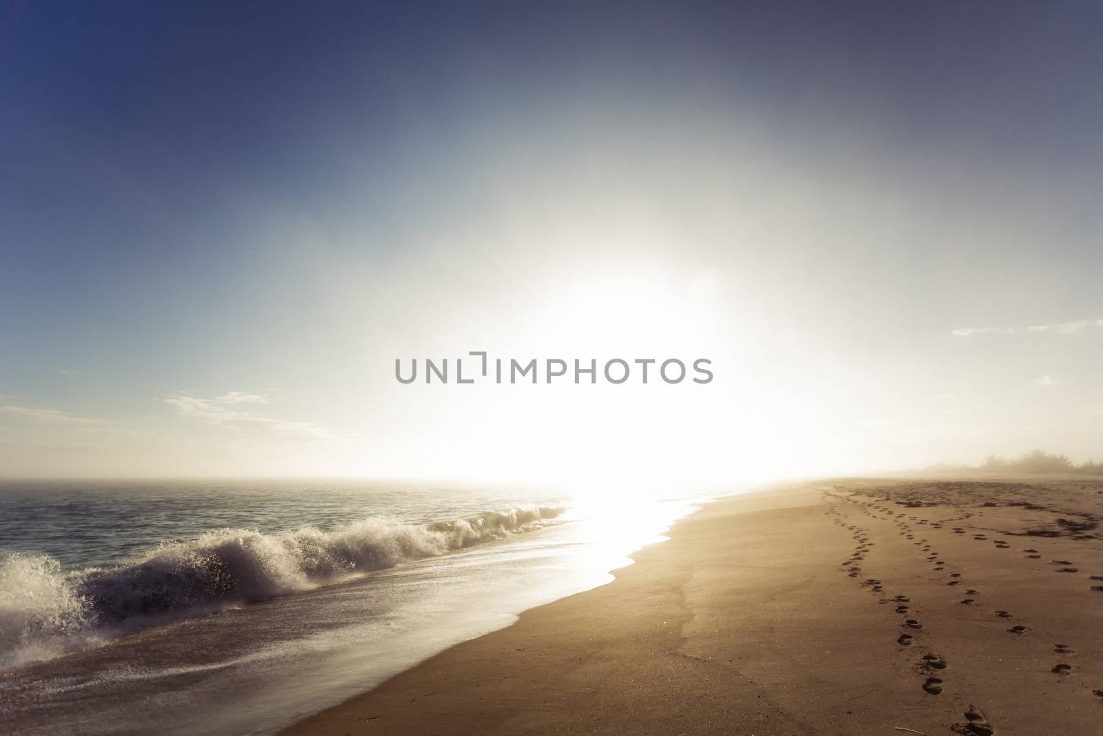 Photograph shows a coastal landscape in Rhode Island