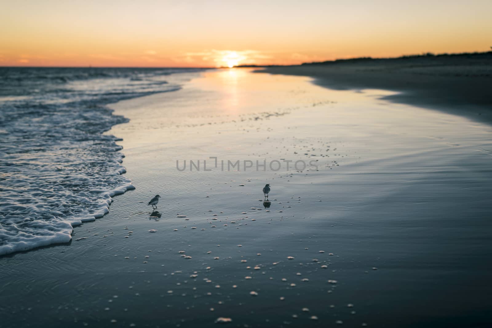 Photograph shows a coastal landscape in Rhode Island