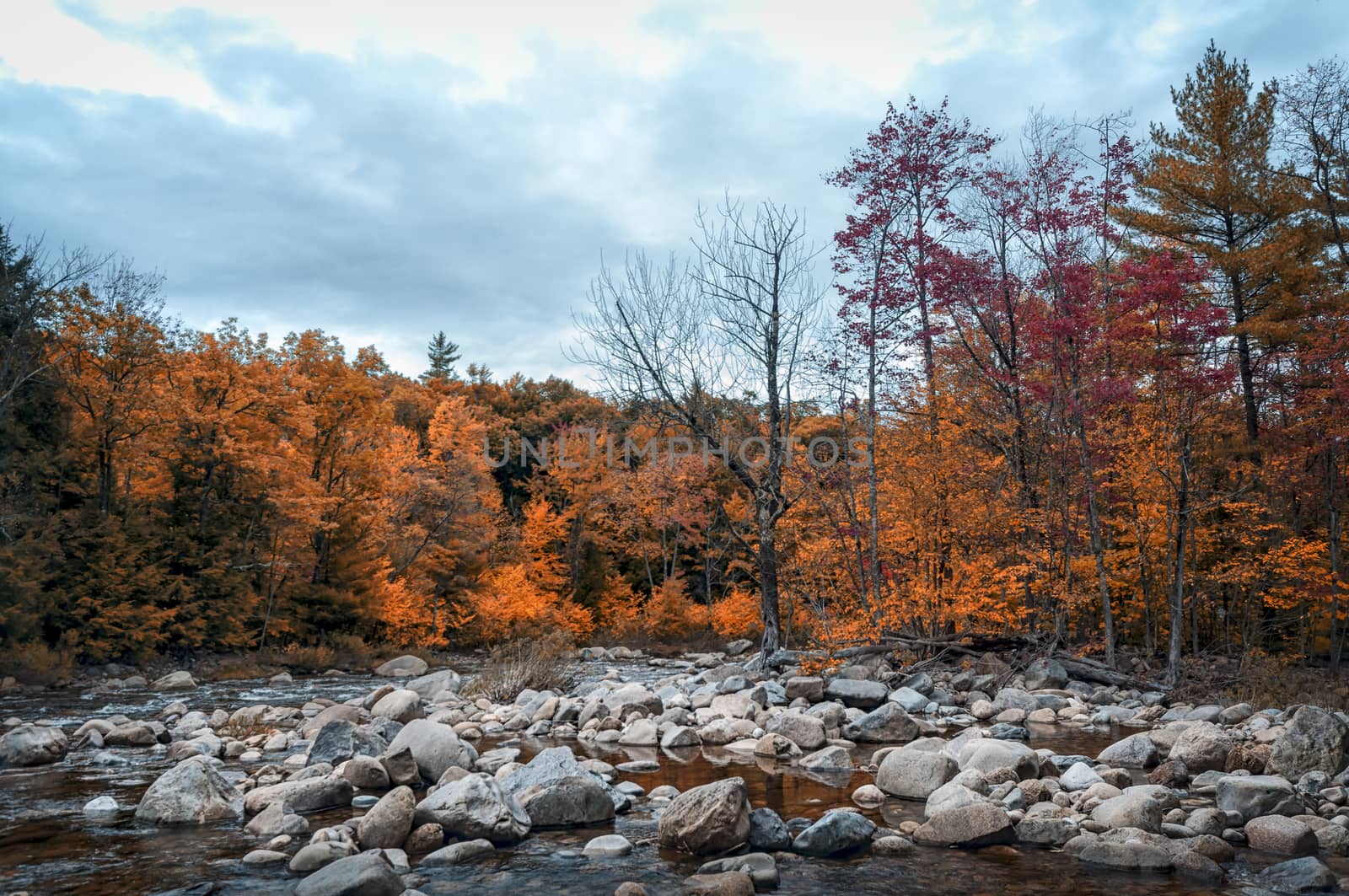 New England in fall by patricklienin