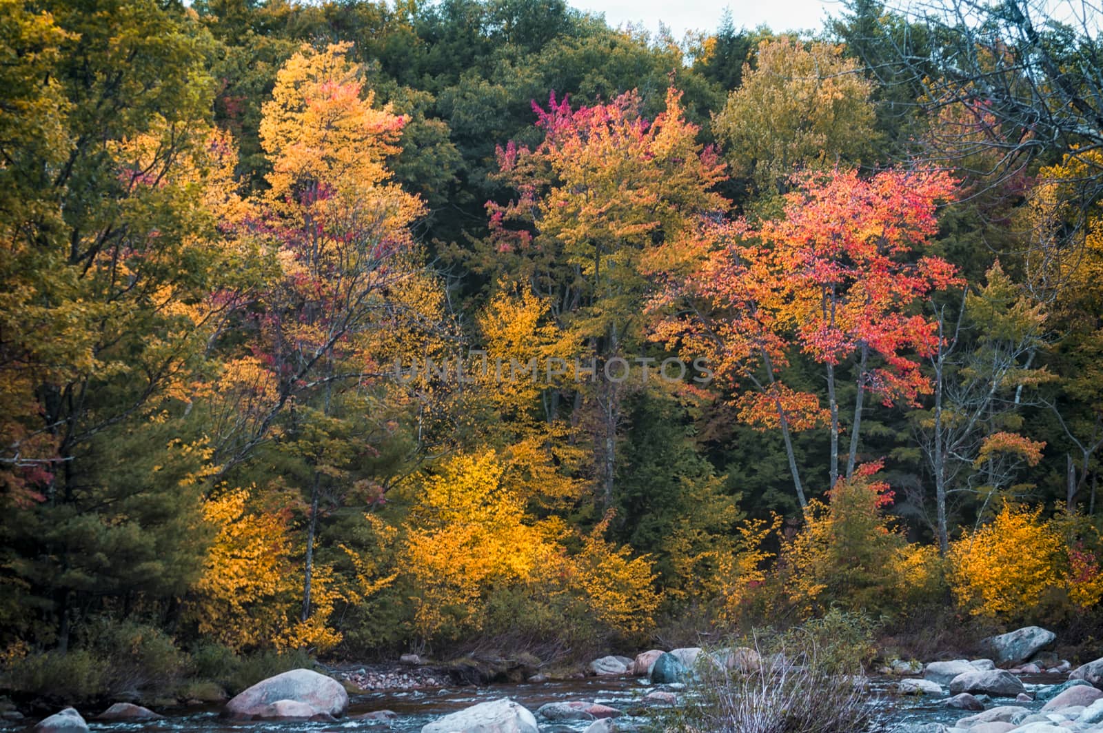 New England in fall by patricklienin