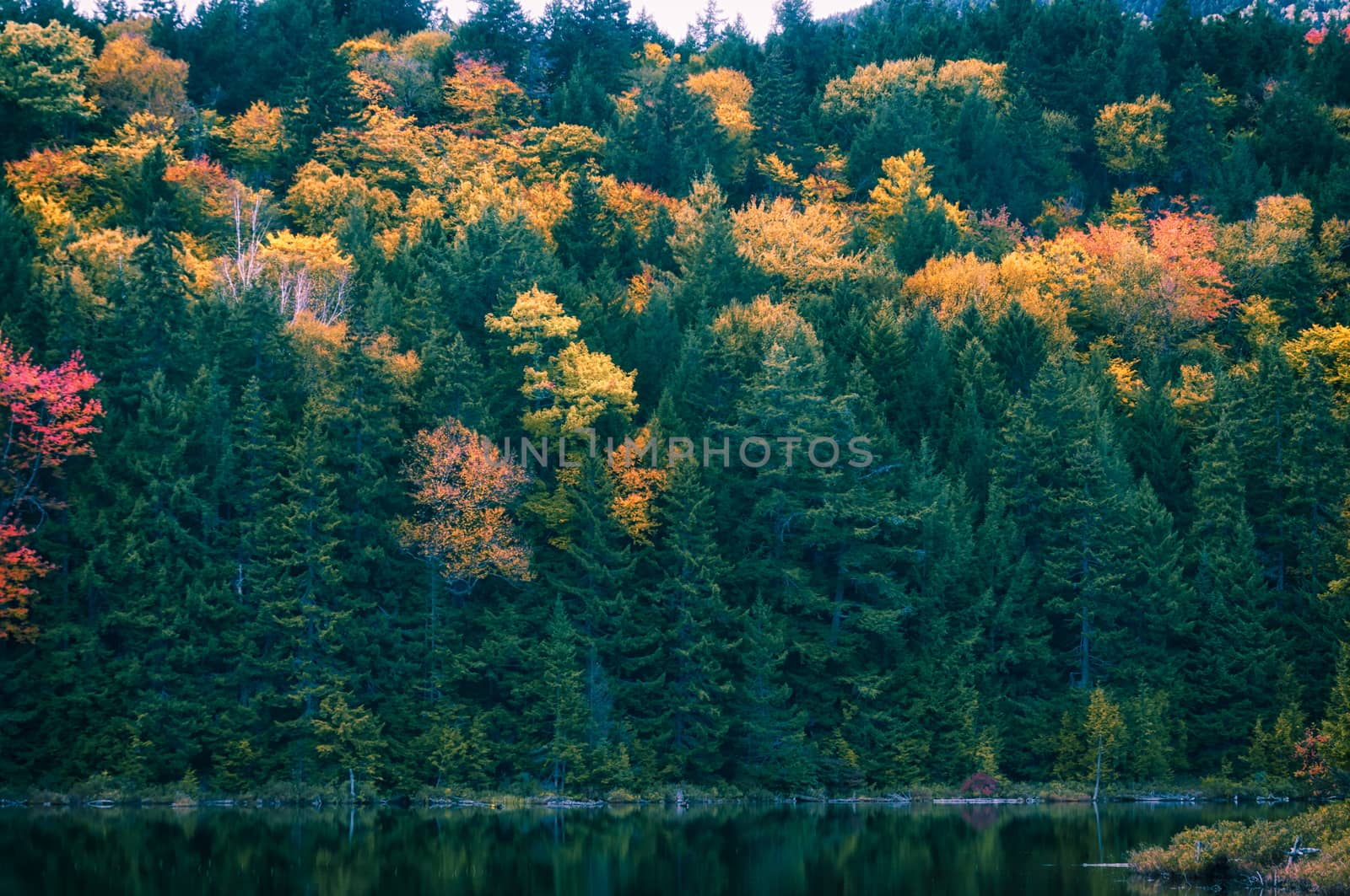 New England in fall by patricklienin