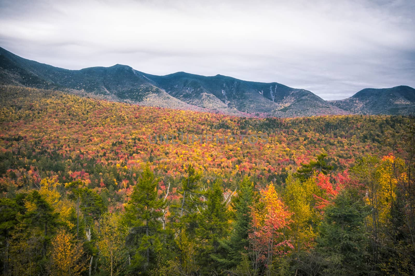 Fall foliage in New Hampshire, New England