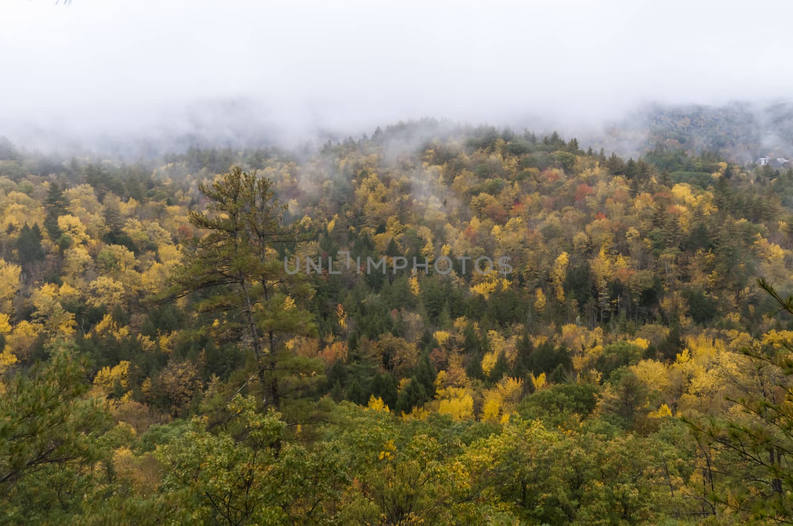 New England in fall by patricklienin