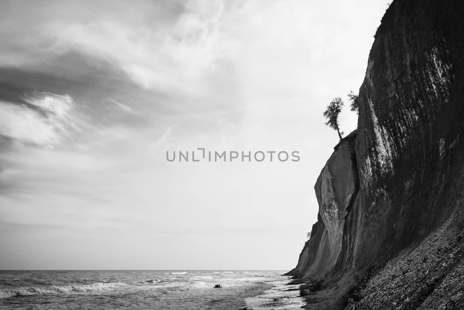 Trees are collapsing into the ocean due to the force of it