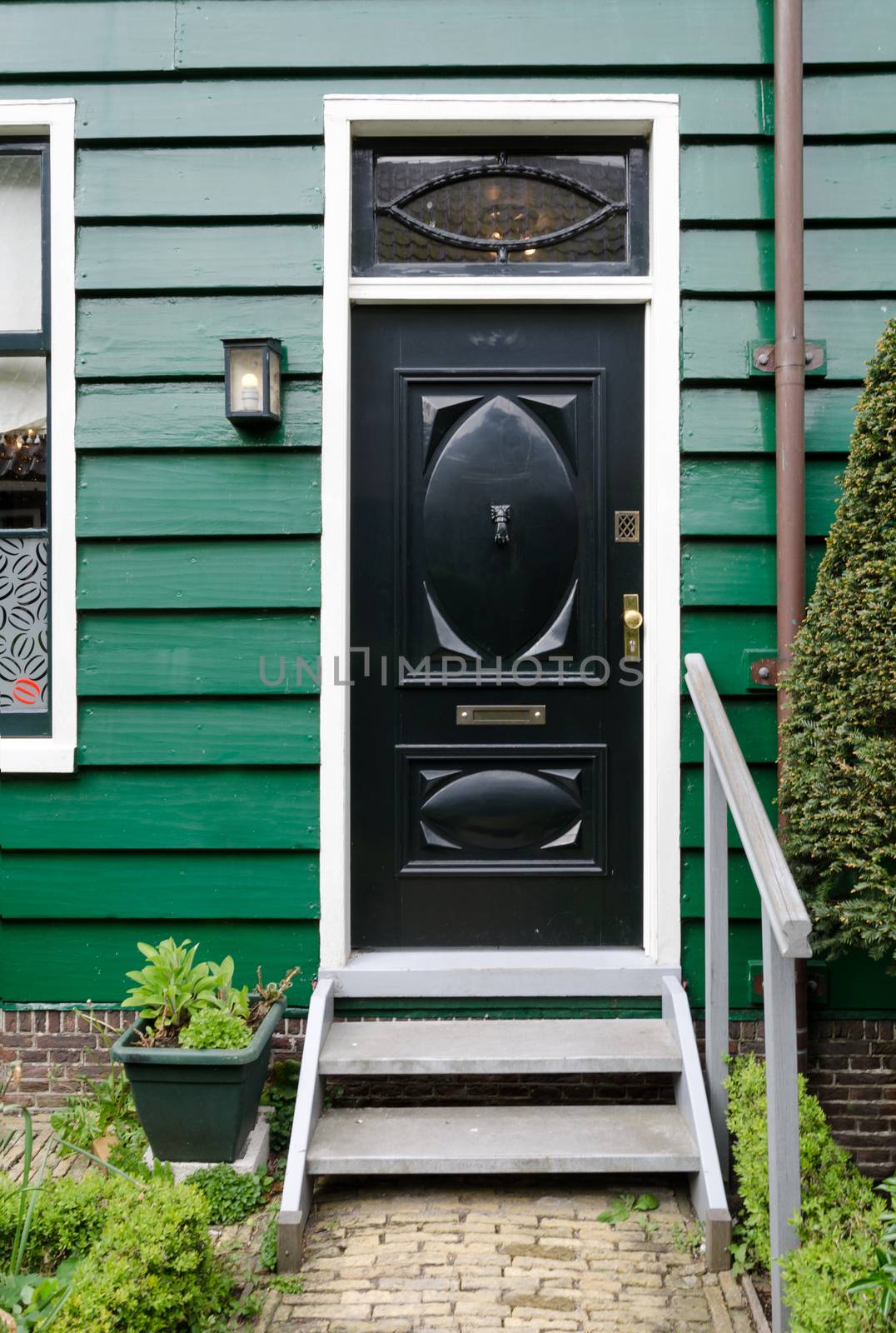 Black wooden vintage door wth green wall house