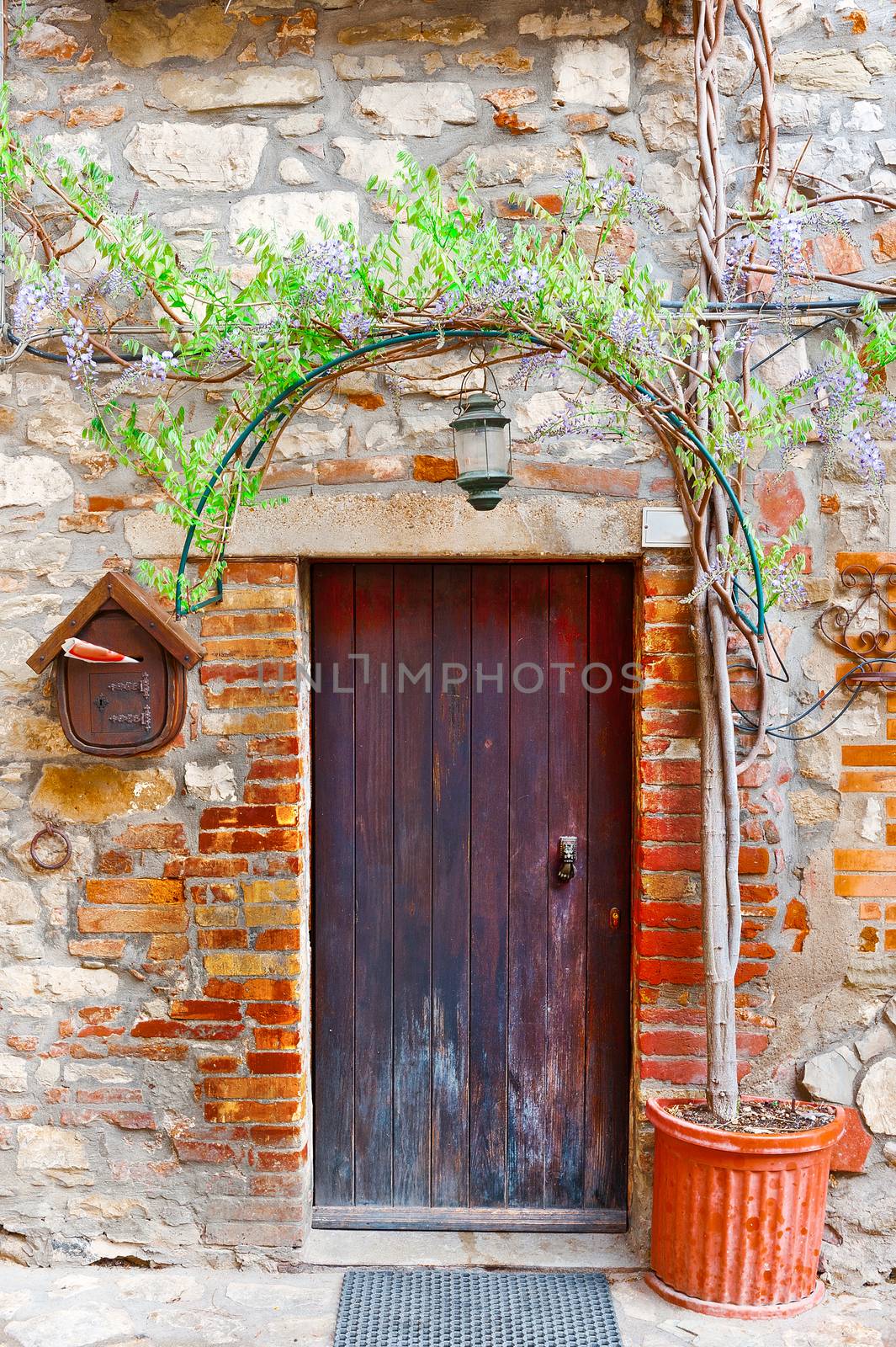 Door in Italian House Decorated with Tree