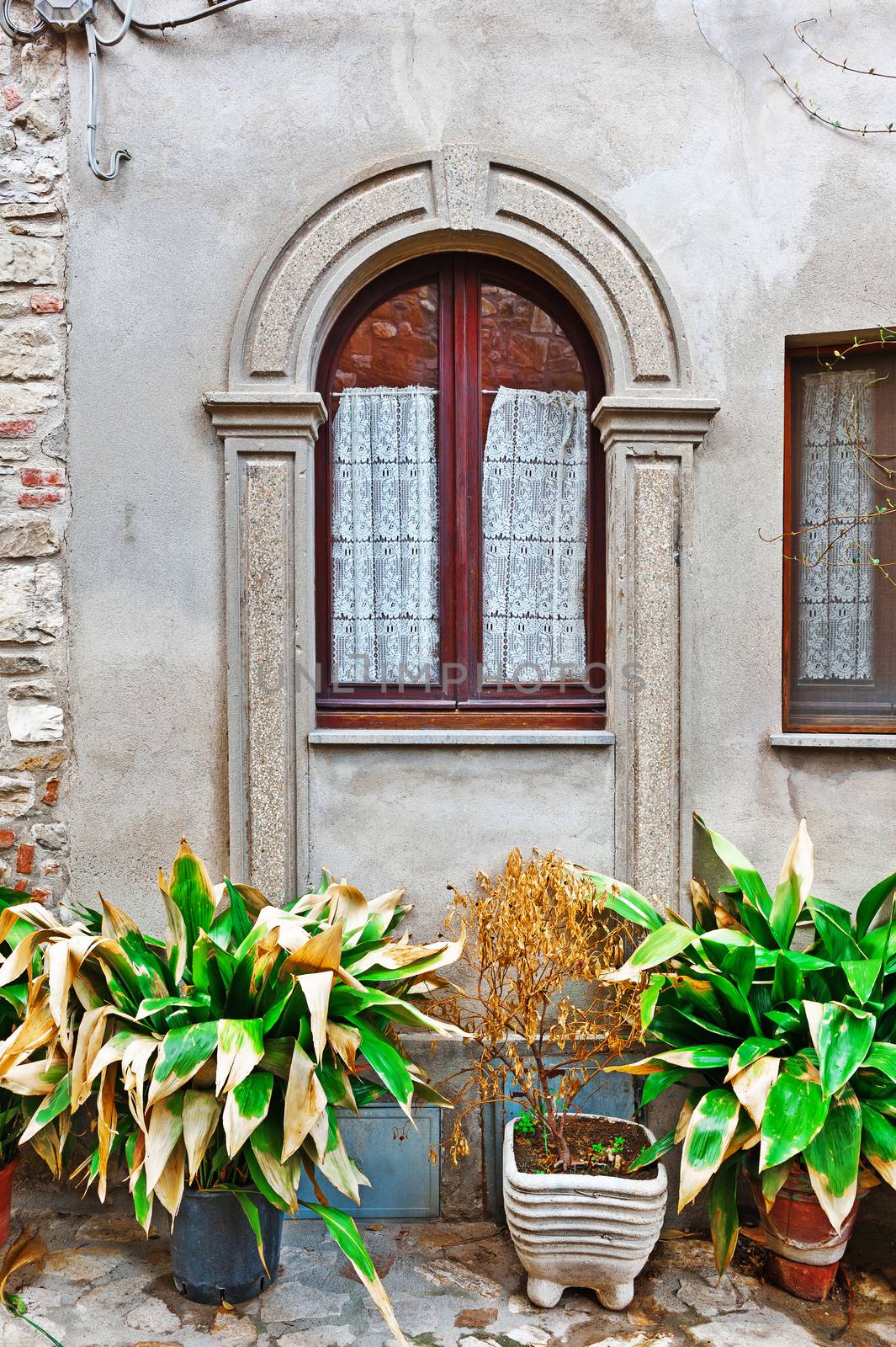 Window on the Facade of Italian House Decorated with Fresh Flower