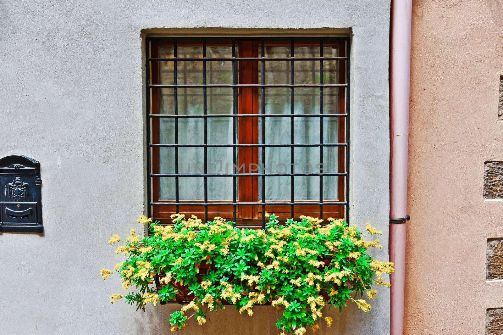 Window by gkuna