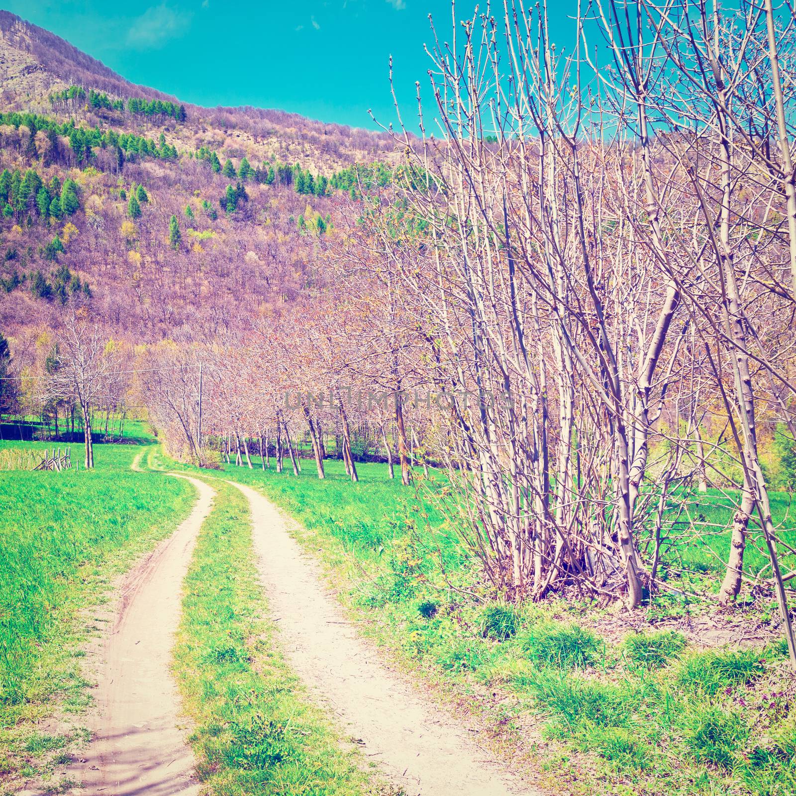 Dirt Road in Piedmont on the Background of Alps, Instagram Effect