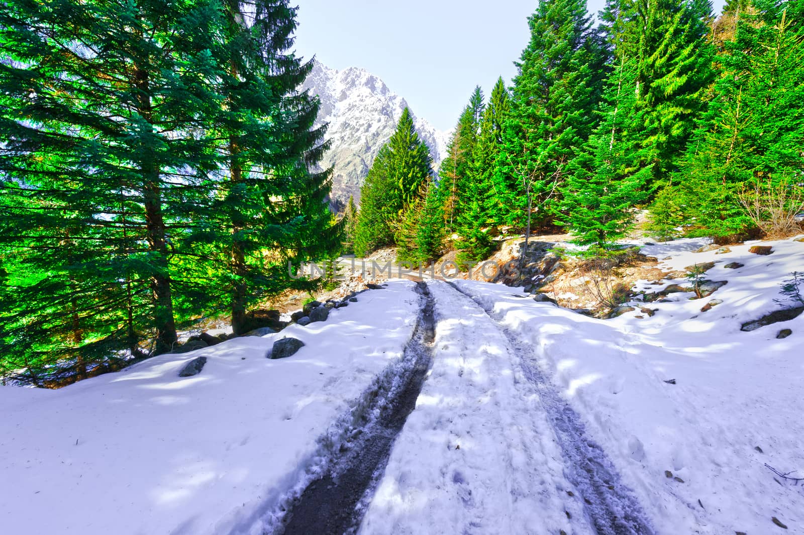 Melting Snow on the Mountainous Road in the Italian Alps
