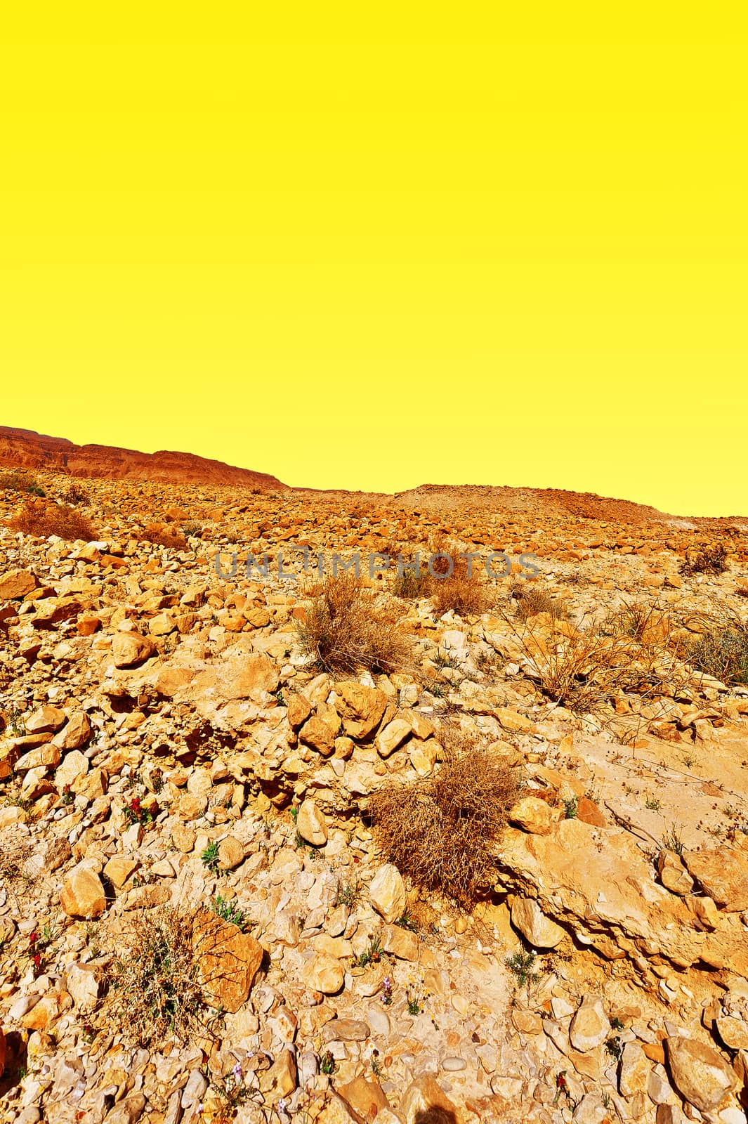 Desert  by gkuna