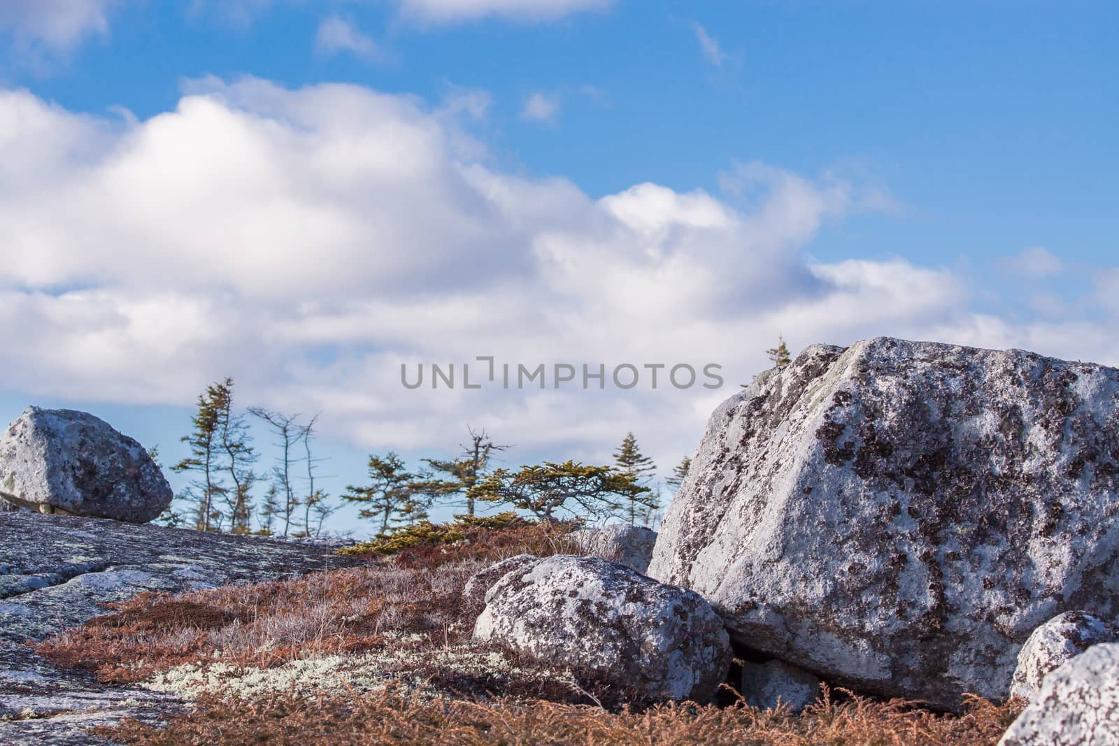 Nova Scotia coastal scenery in the Peggys Cove area by Ralli