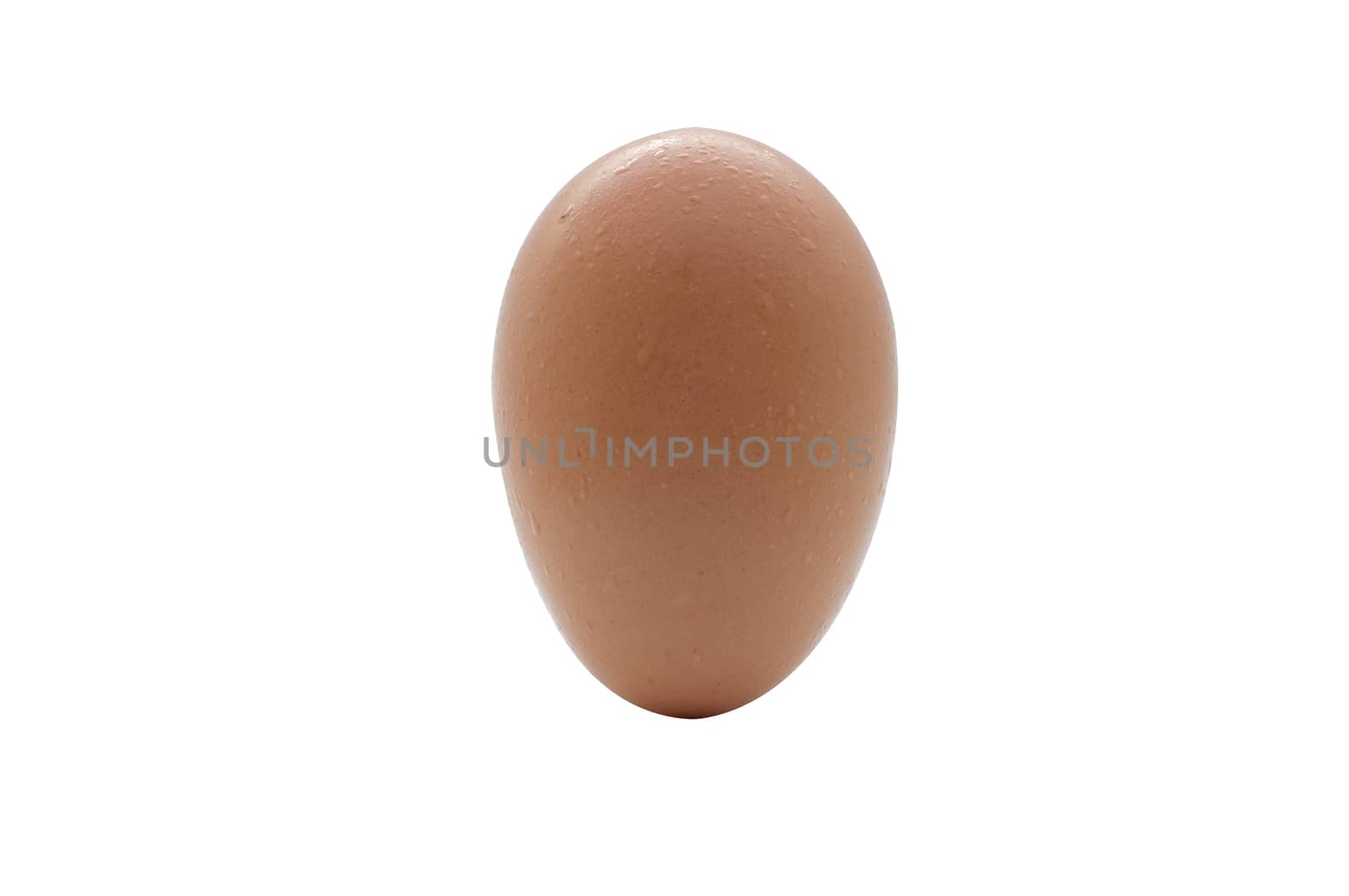 brown chicken egg with water drop isolated on white