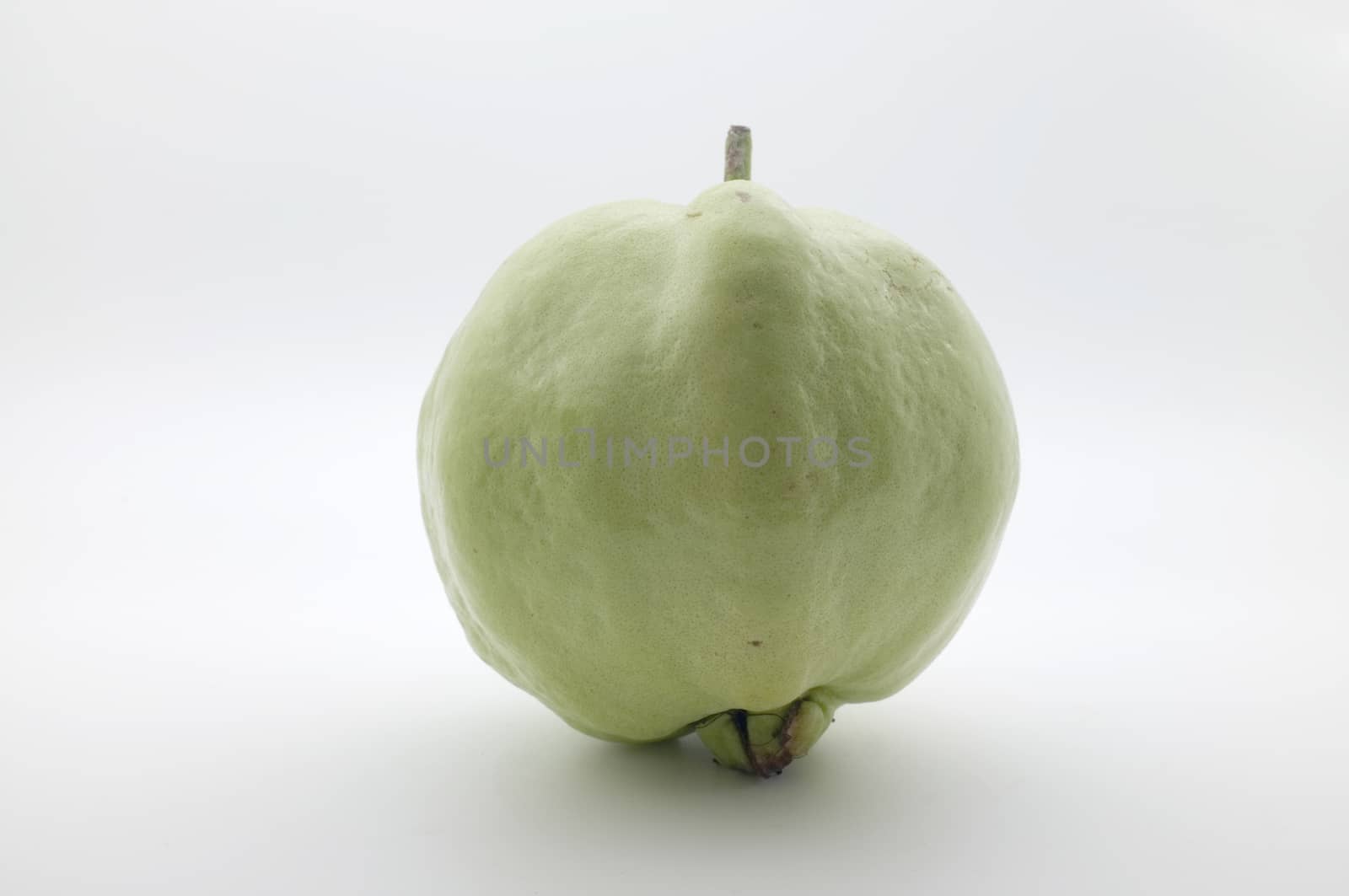 Fresh guava without leaf