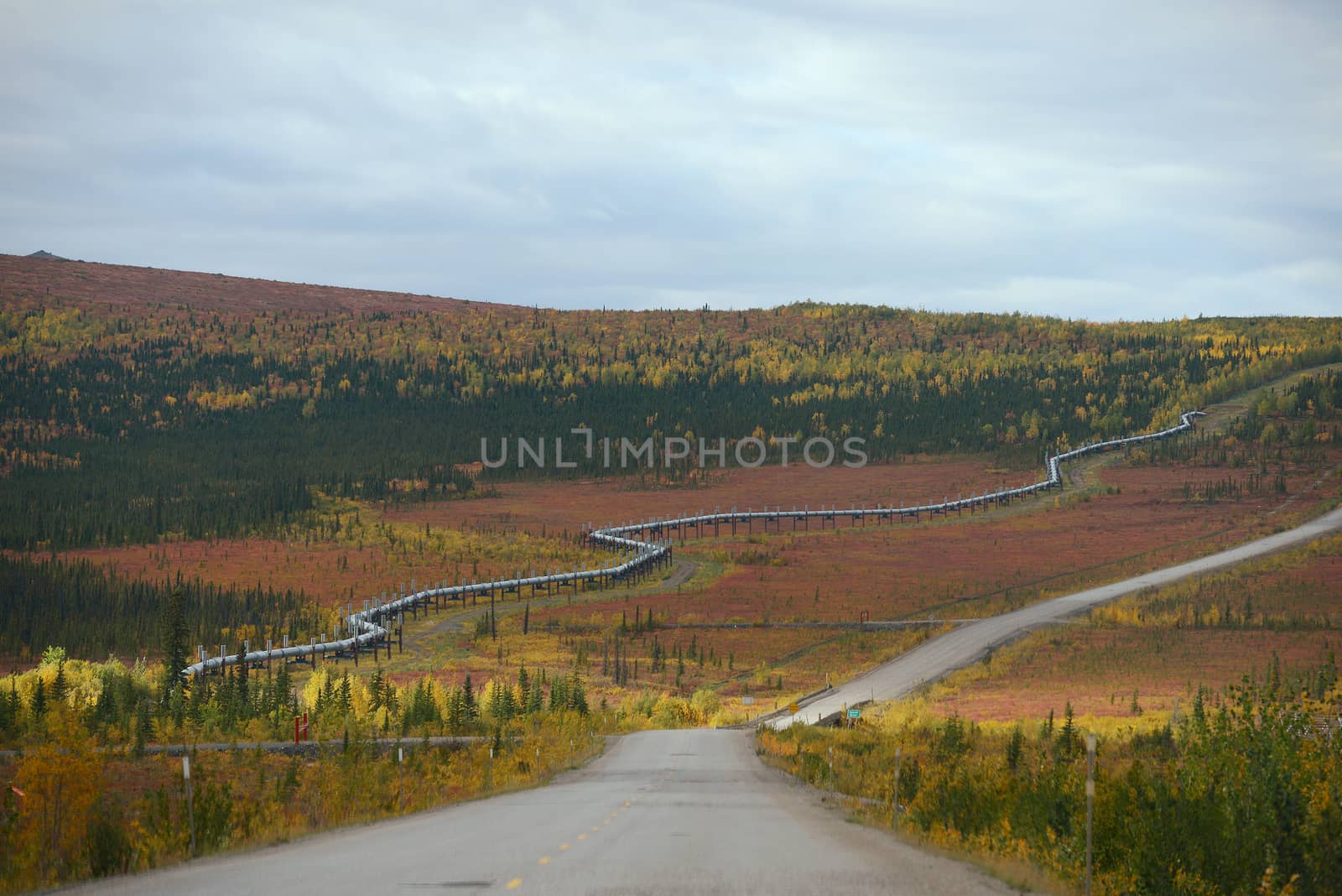 dalton highway in alaska