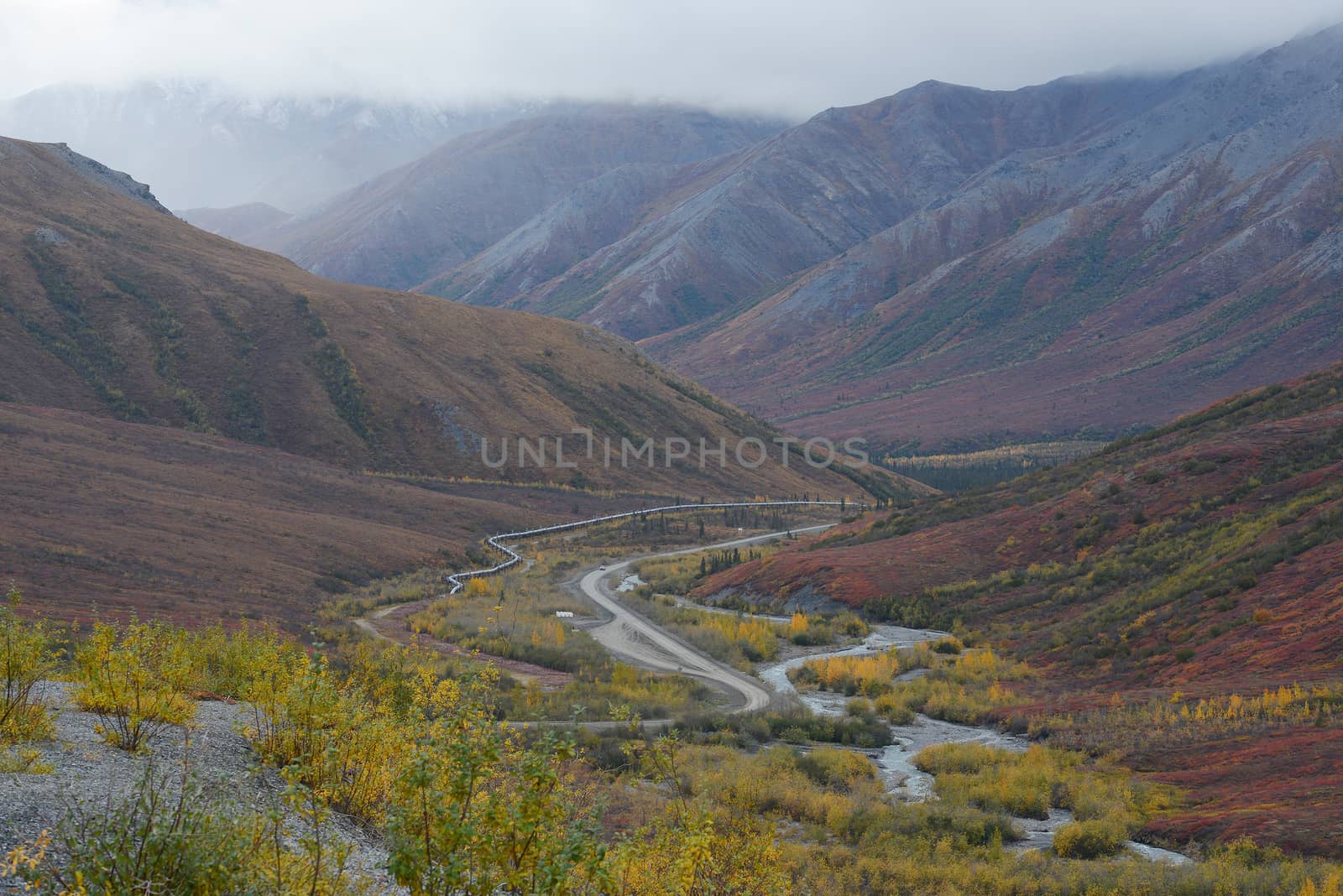 alaskan tundra in autumn