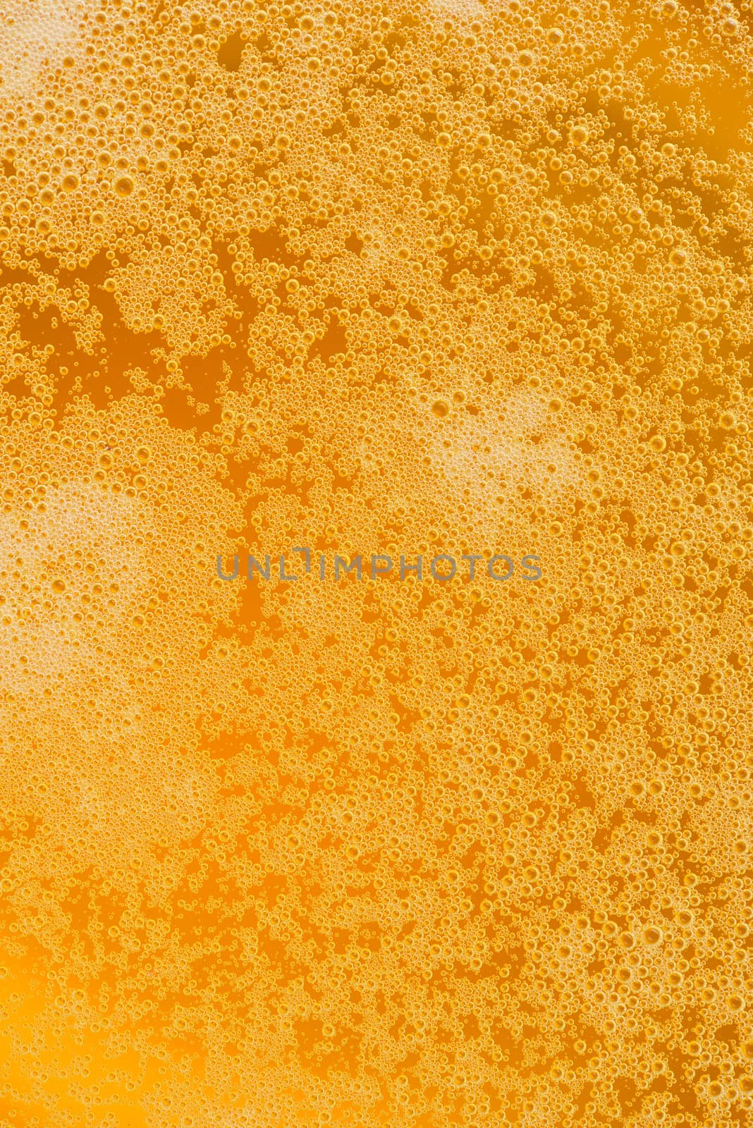 beer froth by antpkr
