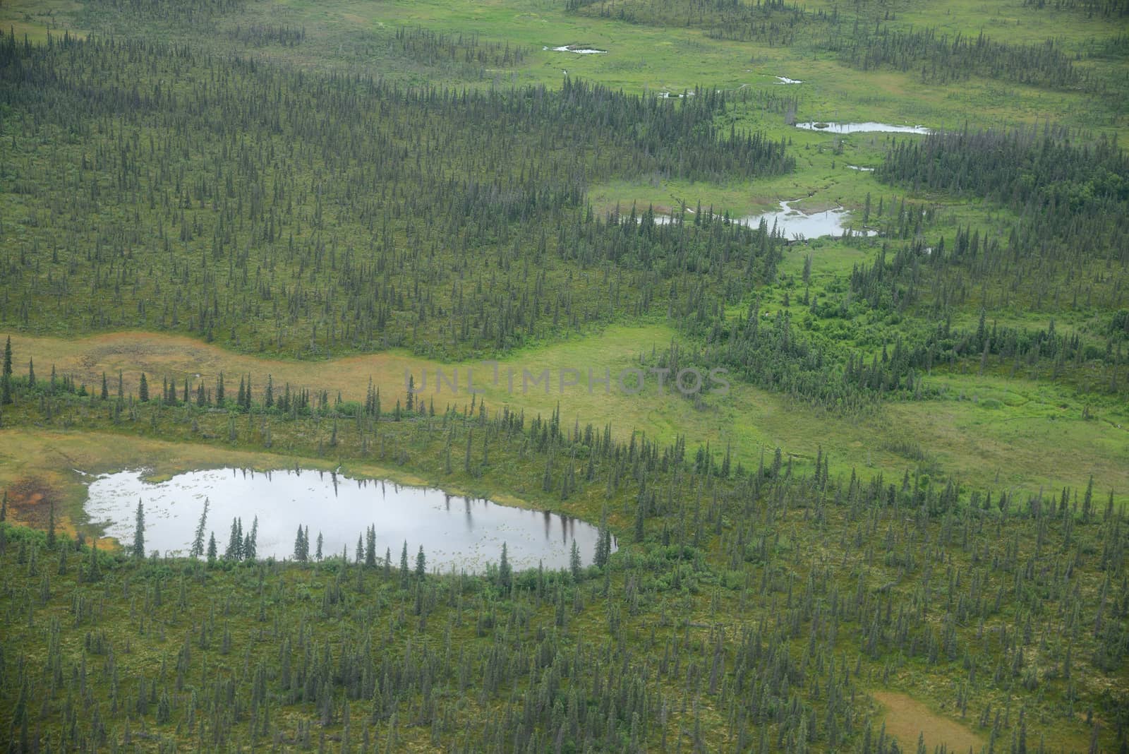 an aerial view of alaska wetland in katmai national park near king salmon