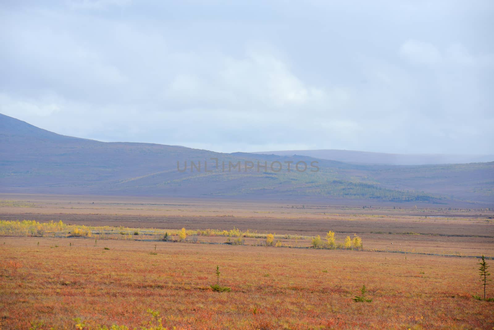 alaskan tundra in autumn