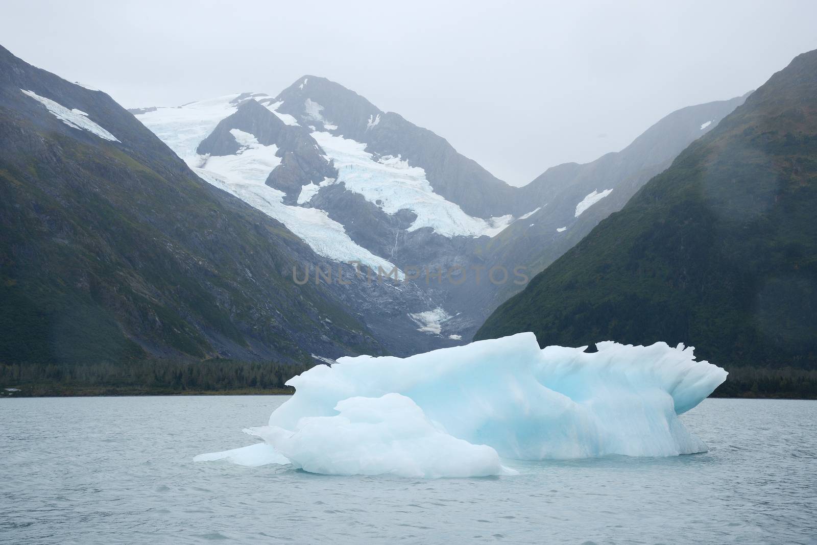 blue iceberg from portage glacier in alaska
