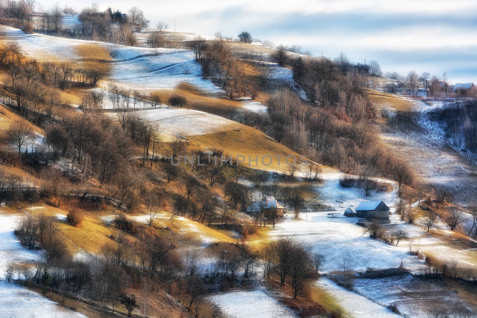 Frozen sunny day of a winter, on wild transylvania hills. Holbav. Romania. Low key, dark background, spot lighting, and rich Old Masters by constantinhurghea