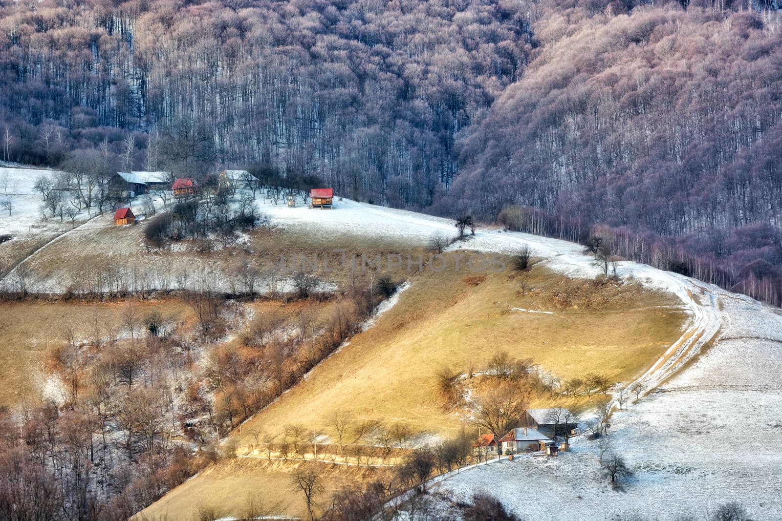 Frozen sunny day of a winter, on wild transylvania hills. Holbav. Romania. Low key, dark background, spot lighting, and rich Old Masters by constantinhurghea