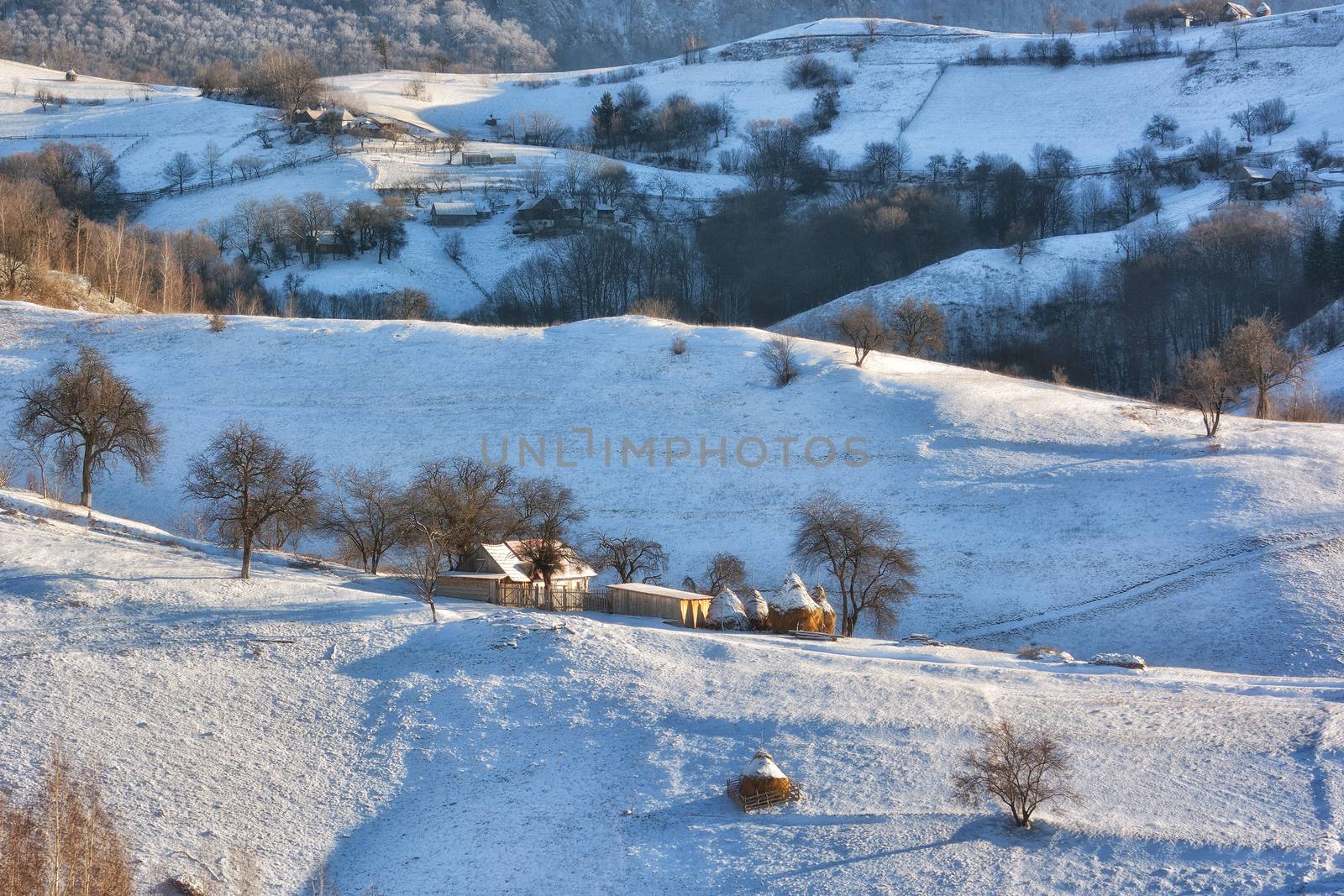 Frozen sunny day of a winter, on wild transylvania hills. Holbav. Romania. Low key, dark background, spot lighting, and rich Old Masters